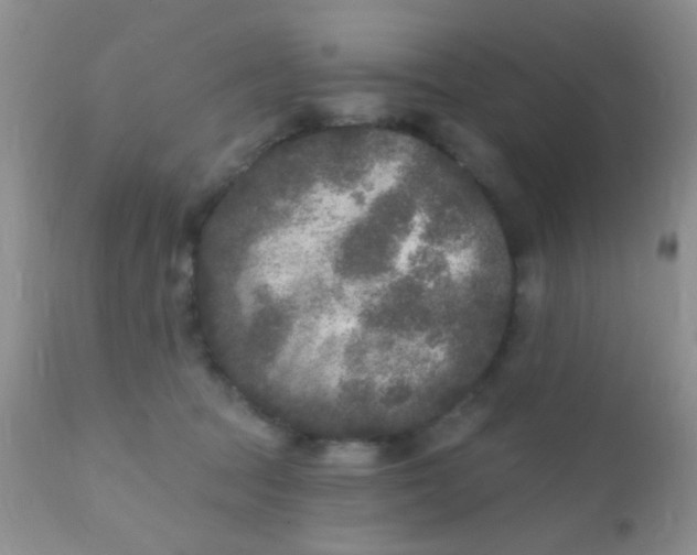 X0000110940369200907022139