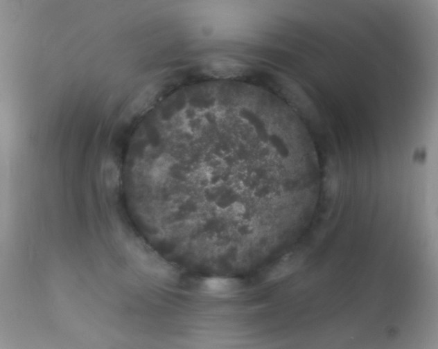 X0000110940371200907022139