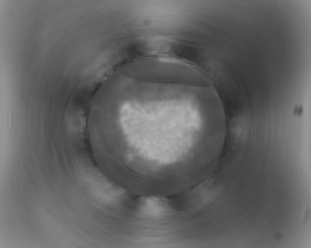 X0000110940372200907022139