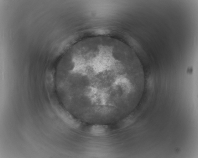 X0000110940373200907022139