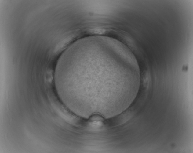 X0000110940374200907022139