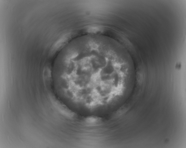 X0000110940375200907022139