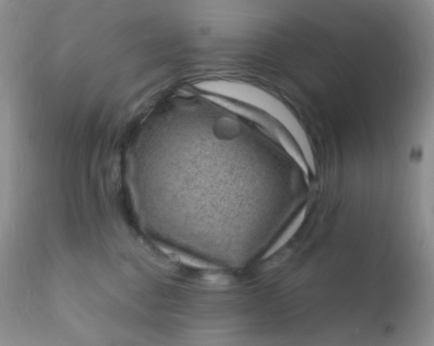 X0000110940376200907022139