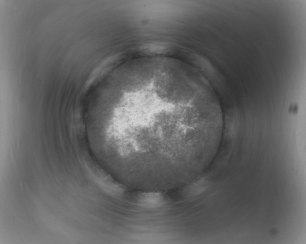 X0000110940377200907022139