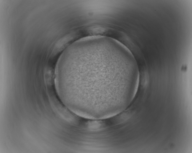 X0000110940378200907022139