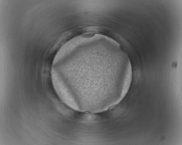 X0000110940379200907022139