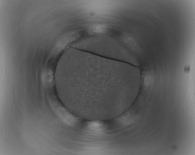 X0000110940380200907022139