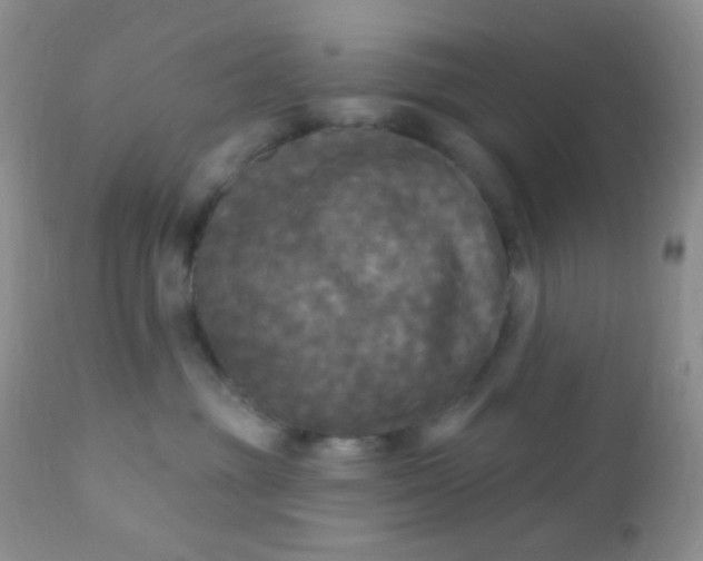 X0000110940381200907022139