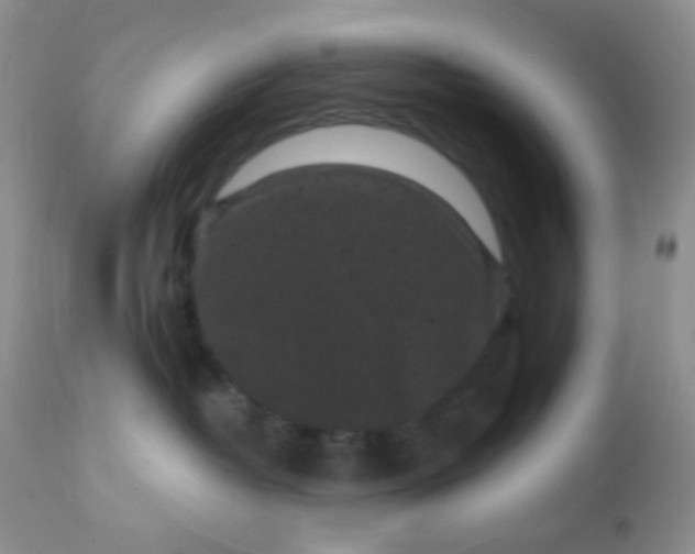 X0000110940382200907022139