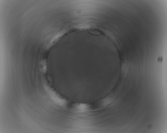 X0000110940383200907022139