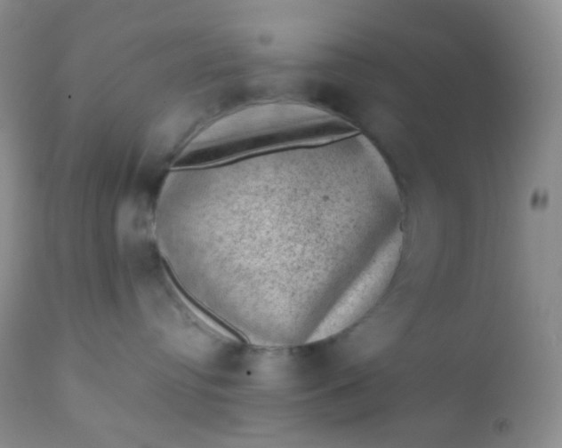 X0000110940384200907022139