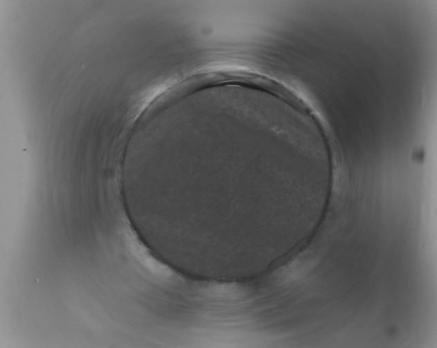 X0000110940385200907022138