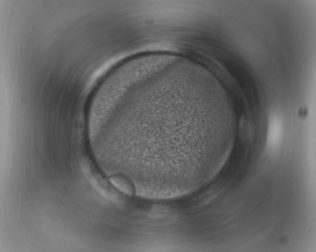 X0000110940388200907022138