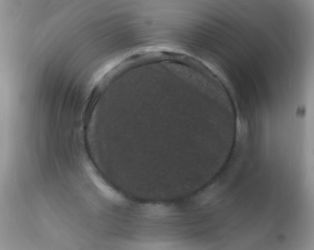 X0000110940389200907022138