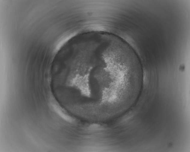 X0000110940390200907022138