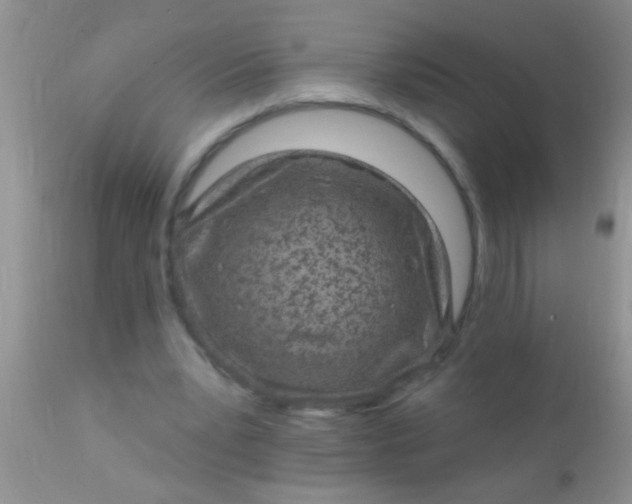 X0000110940391200907022138