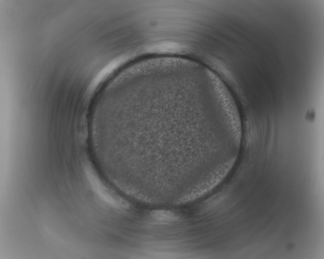 X0000110940392200907022138