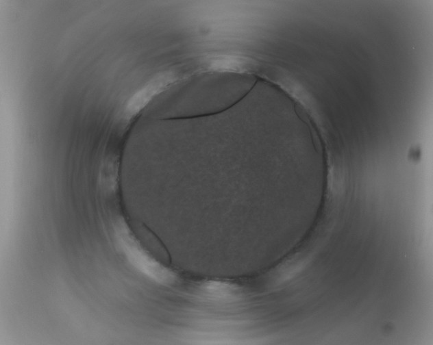 X0000110940393200907022138