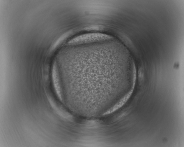 X0000110940396200907022138