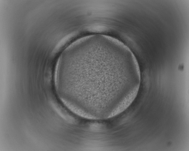 X0000110940400200907022138