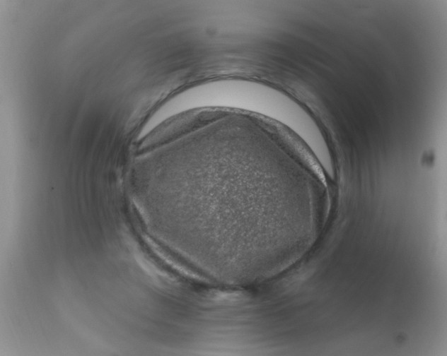 X0000110940401200907022138