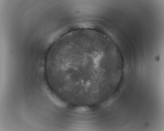 X0000110940402200907022138