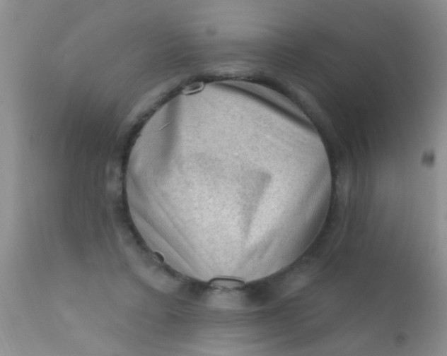 X0000110940403200907022138