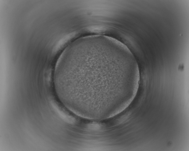 X0000110940404200907022138