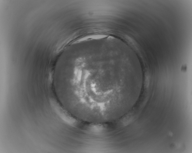 X0000110940405200907022138