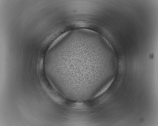 X0000110940406200907022138