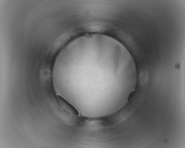 X0000110940407200907022138