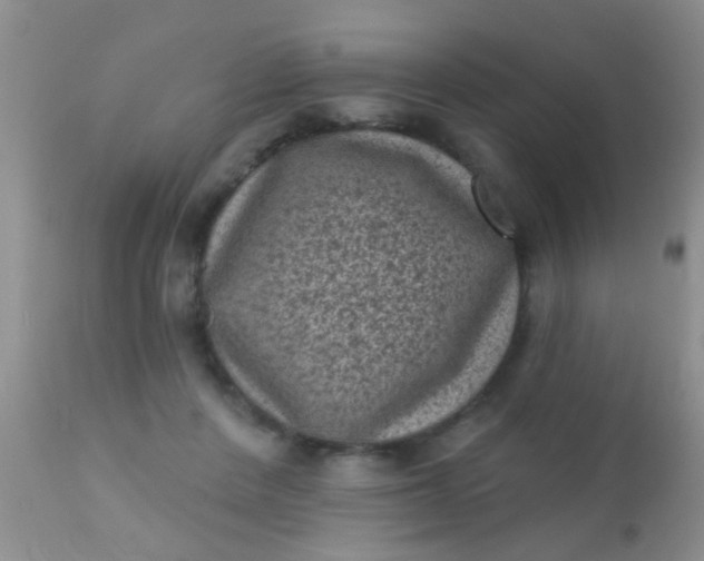 X0000110940408200907022138