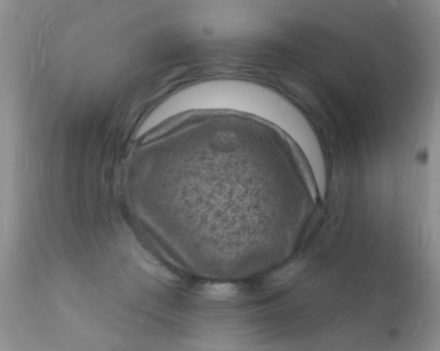 X0000110940409200907022138