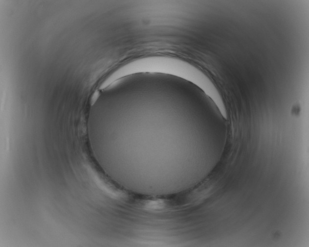 X0000110940411200907022138