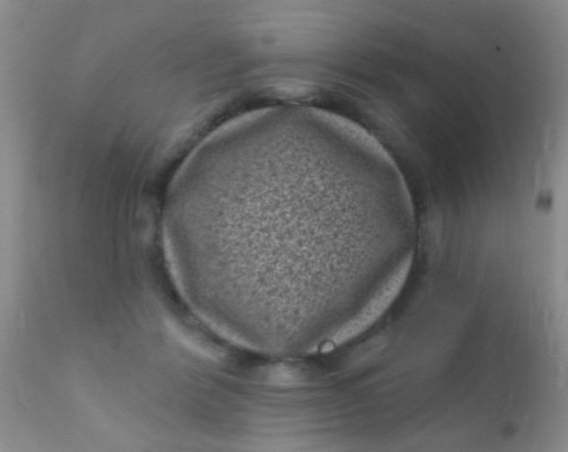 X0000110940412200907022138