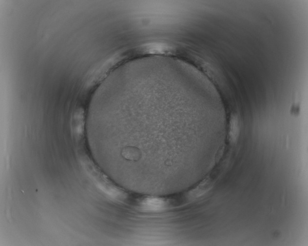 X0000110940413200907022138