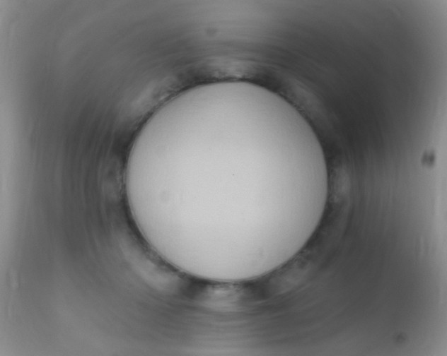 X0000110940414200907022138