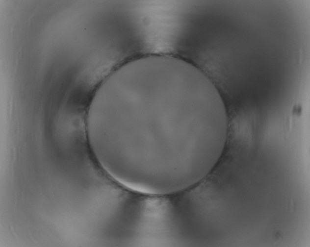 X0000110940415200907022138