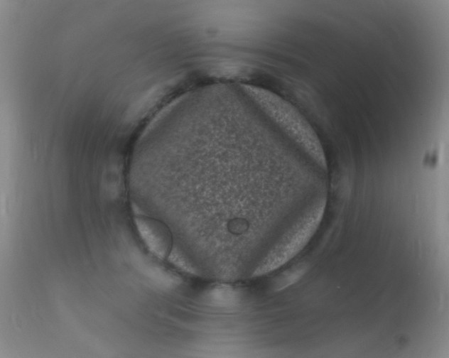 X0000110940416200907022137