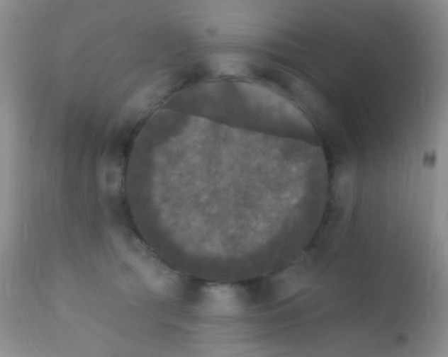 X0000110940417200907022137