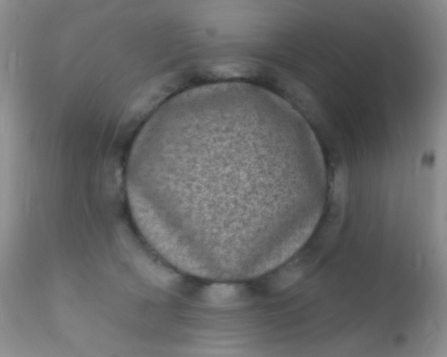 X0000110940418200907022137