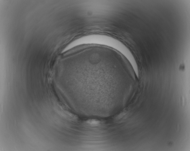 X0000110940419200907022137