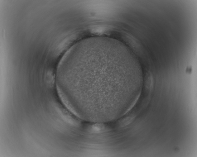 X0000110940420200907022137