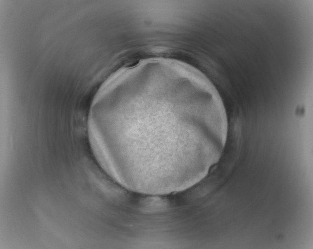 X0000110940421200907022137