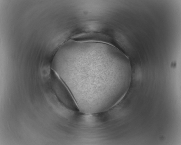 X0000110940425200907022137