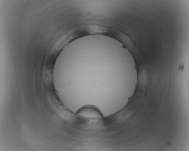 X0000110940426200907022137