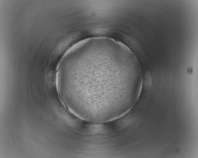 X0000110940428200907022137