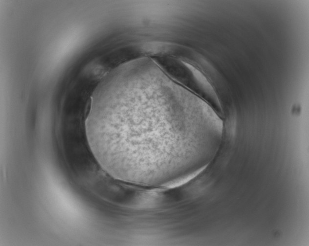 X0000110940429200907022137