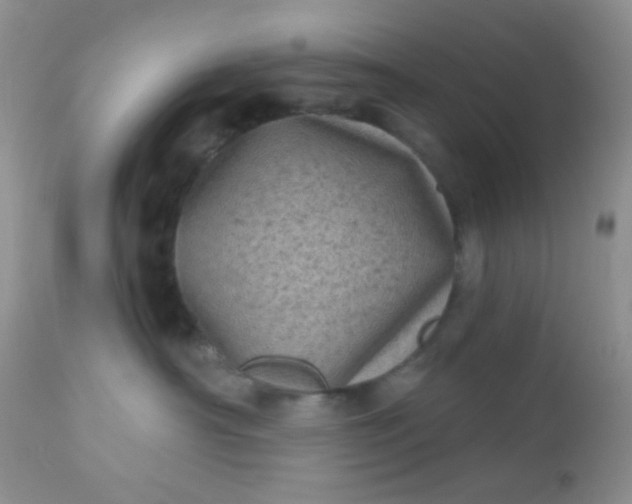 X0000110940430200907022137