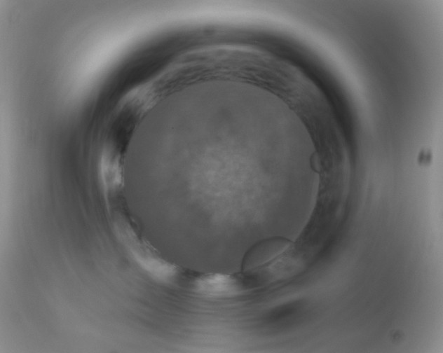 X0000110940431200907022137